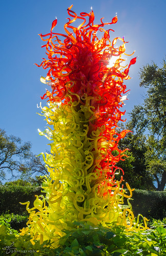 red sculpture chihuly art glass backlight garden dallas texas spirals redtower dallasarboretum citrongreen