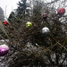 outdoor ornaments in the snow    MG 0597