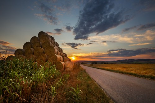 pyramid sunset bales corn ruralscene photography outdoors nopeople nature woody trees tree sun summer stubble straw sky shadows setting seasons scenic scenery rows row production power poles pole plants plant light landscape land idyllic hay harvested grain fields field farming evening europe cultural cultivation clouds agriculture