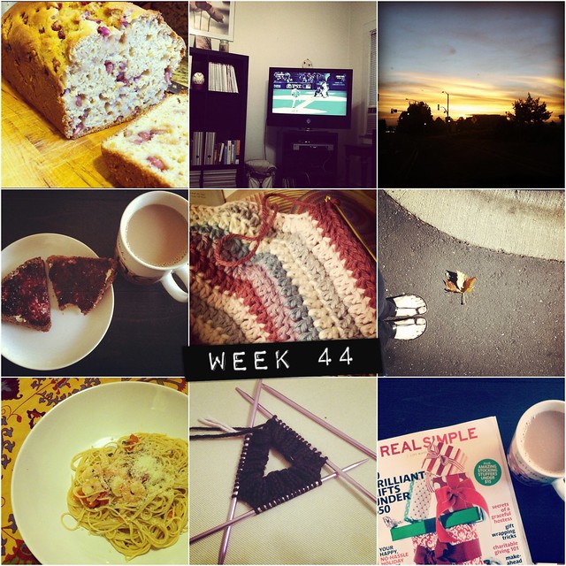 2012 in pictures: week 44