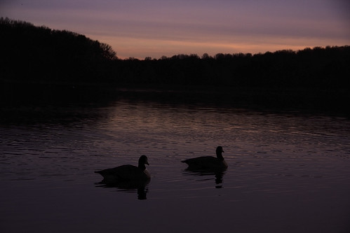 sunset sunrise dawn geese cloudy burkelake