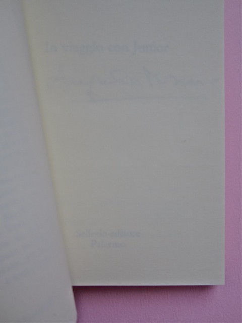 Angelo Morino, In viaggio con Junior. Sellerio 2002. [resp. grafica non indicata], alla cop.: Great Wave, di Michael Langenstein. Pagina dell'occhiello (part.), 2