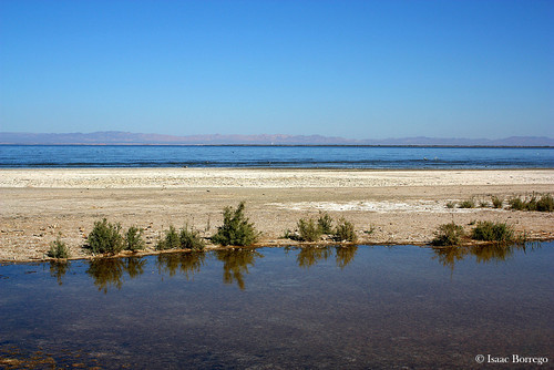 california lake water canon rebel desert saltonsea xsi imperialvalley