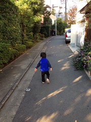 朝散歩 (2012/11/14)