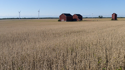 canada field farmhouse lakeerie windturbines