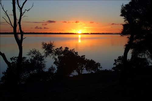 light sea sunrise bay cove australia tasmania mariaisland shoalbay earlylighting canoneos550d encampmentcove trainsintasmania tasmanianscenary stevebromley tasmaniancoastalscenary