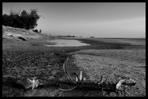 river asia drought environment bangladesh saarc d3100 sheikhshahriarahmed