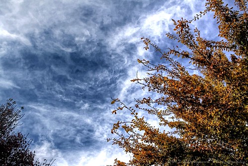 autumn trees sky clouds gimp hdr photomatix