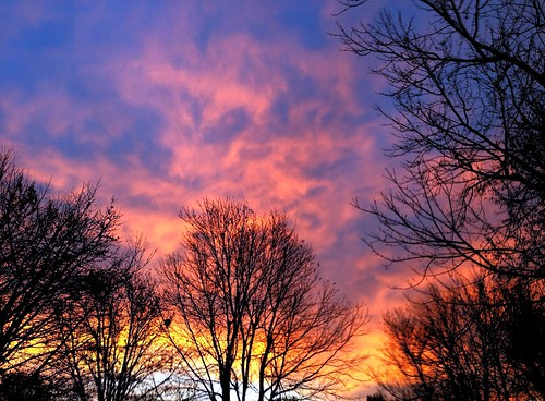 morning trees color weather silhouette clouds sunrise springfieldmo iphone5