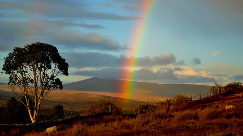 rainbow nikon sheep penyfan breconbeaconsnationalpark d3100 yahoo:yourpictures=winterv2