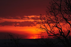 Sunrise-Watching From Knob Rd., Mt. Pocono, PA