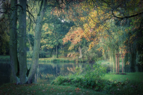 park morning autumn fall thüringen herbst parks thuringia nordhausen morgen harz canoneos5dmark3