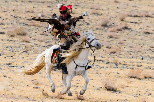horses birds animals festival mongolia activities olgii naturelandscape voulcher bayanolgii