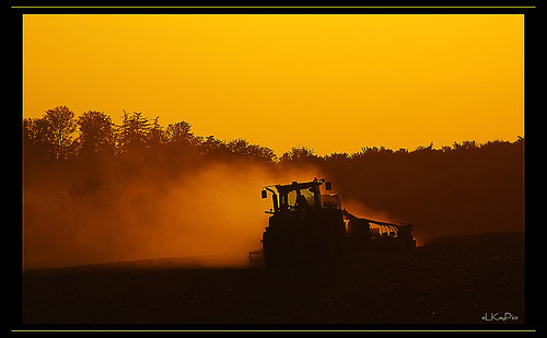 tractor field traktor pentax farm feld bauer tele farmer taunus agrar tenne k7 waldems hochtaunus steinfischbach elkaypics teleobjaktiv