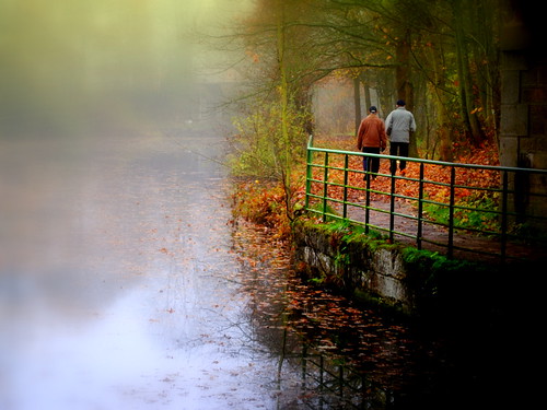 autumn mist france fall fog automne canal walk promenade lorraine brouillard metz brume mfcc fabuleuse jouyauxarches