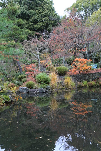 Autumn Touji-in 等持院