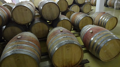 Barrels in Cellar, Zevenwacht Wine Estate, Kuils River, South Africa