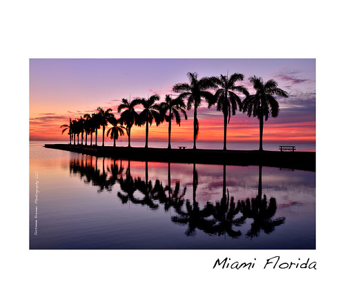 ocean travel red vacation orange colour reflection sunrise florida miami palm palmtrees spiegelung reflexionen deering palmen firy deeringestate susannekremer blinkagain nikond800e