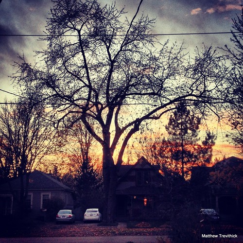 trees sunset ontario canada london dark afternoon matthew 2012 iphone trevithick matthewtrevithick mtphotography instagram