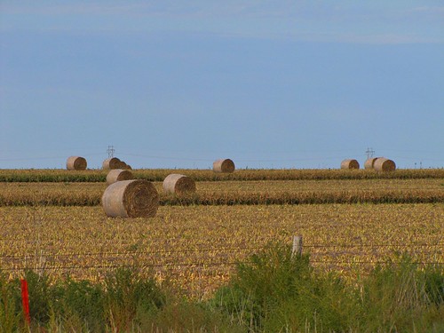 sky rural day clear kansas agriculture haybales rotoballe dighton