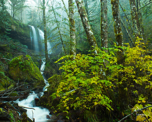 trees mist fall nature water fog forest canon river landscape waterfall moss washingtonstate softwater t4i matthewreichel
