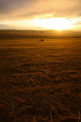 sunset canada calgary rural gold golden countryside farm country alberta fields northamerica