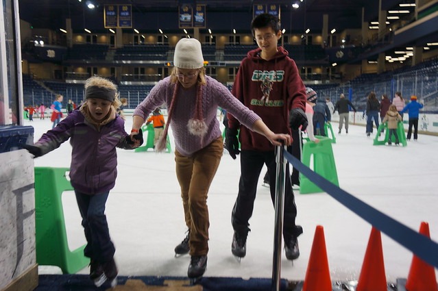 Family Skate Fun