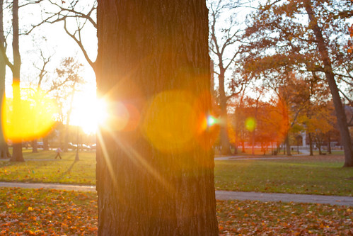 autumn sunset usa sun tree fall nature leaves canon campus leaf midwest warm indiana quad lensflare canonrebel rays muncie goldenhour xsi ballstateuniversity ballstate 450d