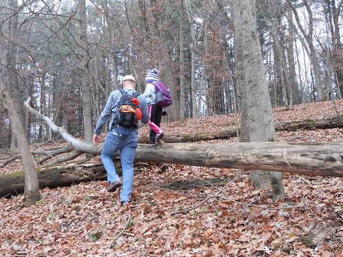 Hiking in Decorah, Nov 2012 (3)