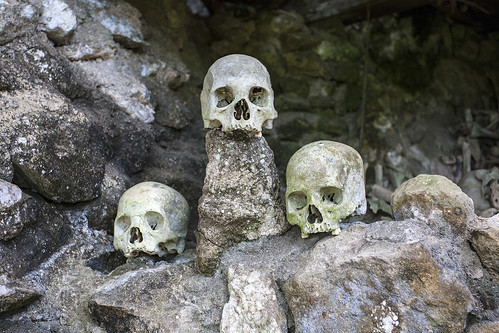 toraja skull bones hank888 sulawesi indonesia