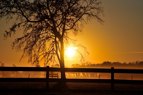 goldenhour hempstead morning sunrise texas