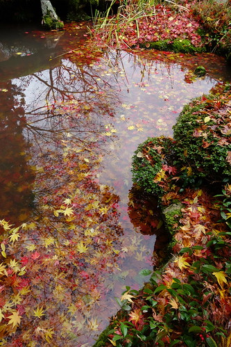 japan sony autumnleaves shiga rx100