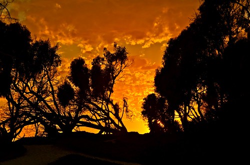 sunset sunsets californiaoutdoorsnature