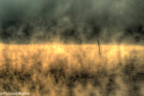 autumn lake fog brittany bretagne hdr d800 photomatix