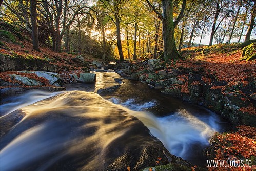 county autumn ireland bw motion blur leaves river manor polarizer goldenhour kilbride polariser cowicklow cloghleagh