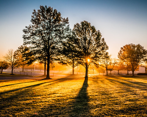 trees light usa sun grass silhouette sunrise photography virginia frost day unitedstatesofamerica richmond clear va rays rva skynoir yahoo:yourpictures=light