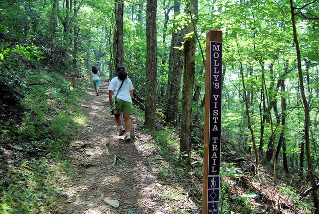 Molly's Knob is a great morning hike before the heat of the day and offer magnificent views of the lake and mountains