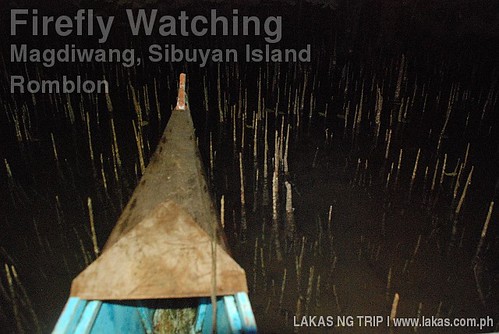 Firefly Watching in Magdiwang, Sibuyan Island, Romblon