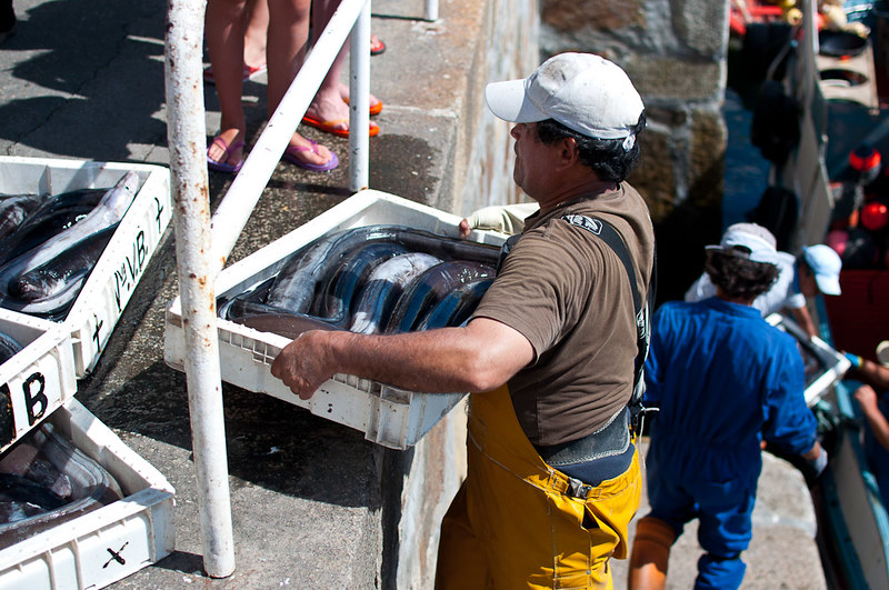 La lonja de pescado de Malpica de Bergantiños