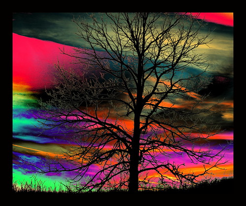 sunset tree nikon psychedelic d3200 slidersunday