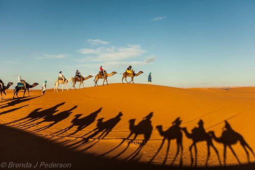 africa november sand shadows desert dunes dune dromedary morocco camels sanddunes 2012 merzouga saharadesert culinaryfool 2470mm28 clickheretoaddkeywords brendajpederson merzougaclickheretoaddkeywords