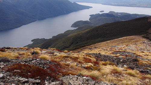 park new travel summer mountain lake landscape island spring scenery track mt hiking walk south great conservation olympus hike mount zealand alpine national nz te anau doc tussock tramping department kepler manapouri tramp omd fiordland luxmore em5