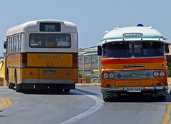 Malta buses