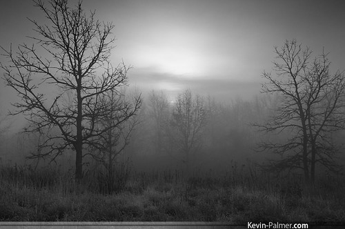fog foggy sunrise dawn early morning mist spooky blackandwhite december winter trees woods forest gandermountainforestpreserve lakecounty antioch illinois pentaxkx samyang bower14mmf28 hill view sun rising thick