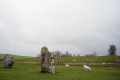 Stones in Avebury