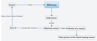 Mimosa Control System