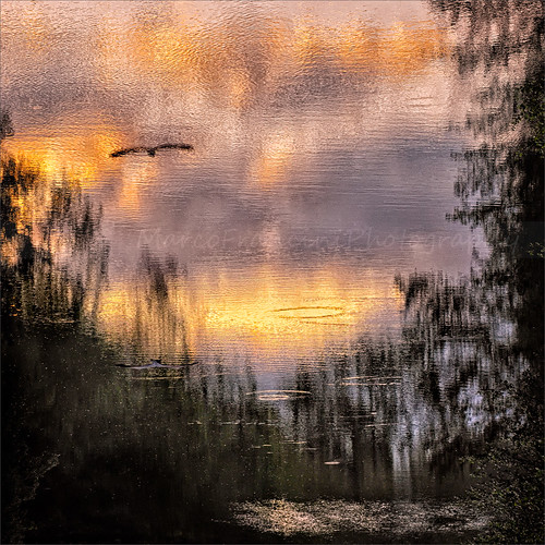 autumn sunset fall birds clouds river twilight nikon tramonto colours cielo tuscany toscana crepuscolo sieve mugello marcofrancini arunte marcofranciniphotography