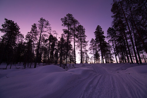 trees winter light snow cold sunrise finland glow tracks lapland nellim