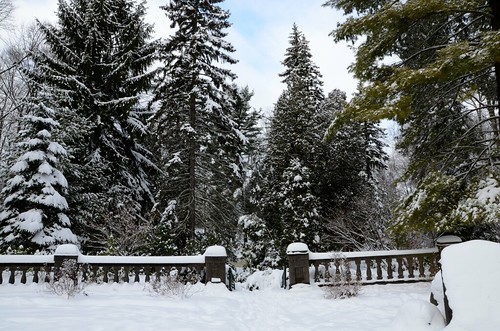 park winter snow landscape buhl