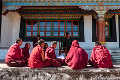 Young Monks at Tawang Monastery